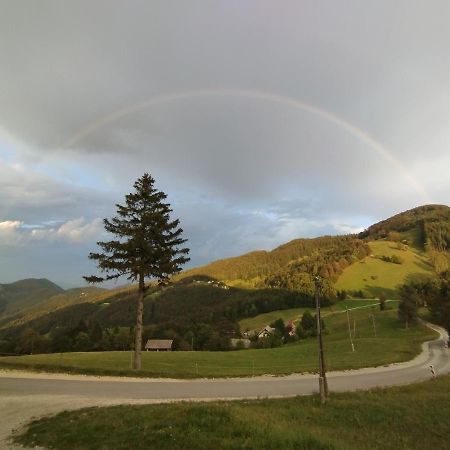 Planinski Dom Vrhe Hotel Trbovlje Екстериор снимка