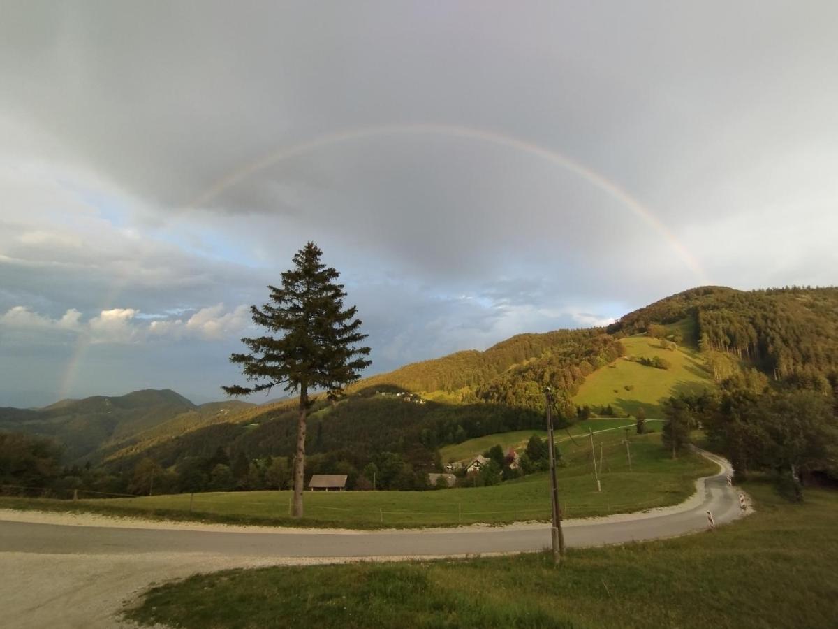 Planinski Dom Vrhe Hotel Trbovlje Екстериор снимка